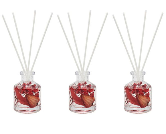 Berry & Bay Set of 3 Diffuser