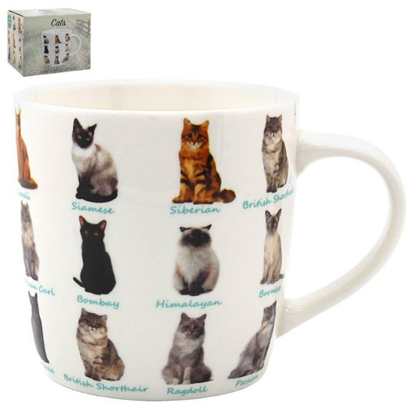 Breeds Of Cats Mug