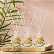Honey Suckle & Davana Set of 3 Diffuser
