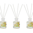 Honey Suckle & Davana Set of 3 Diffuser