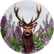 Wild Stag Set Of 4 RPET Picnic Plates