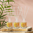 Orange Blossom Set of 3 Diffuser
