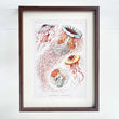 Under The Sea Cyaneidea Wall Art