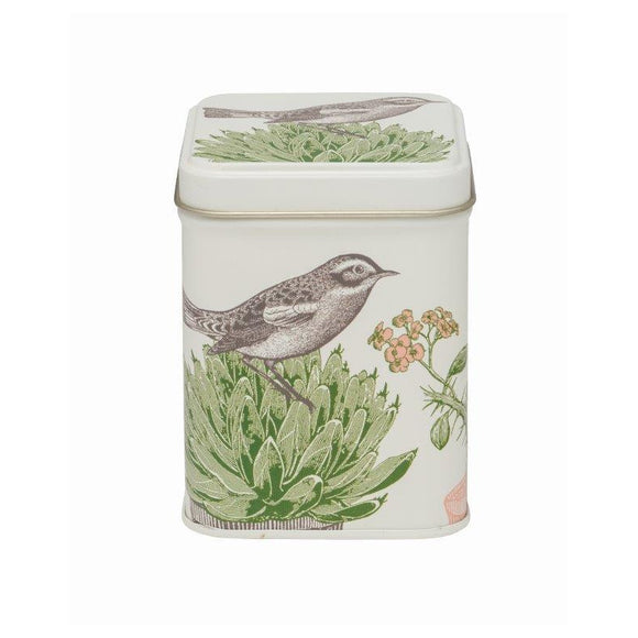 Thornback and Peel Cactus and Bird Storage Tin