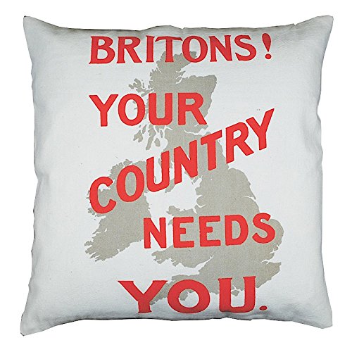 Britons Your Country Needs You Cushion