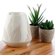 Florenns Hesperantha Cream Relief Oil Burner