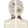Set Of Two Phrenology Bookends