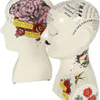 Set Of Two Phrenology Bookends